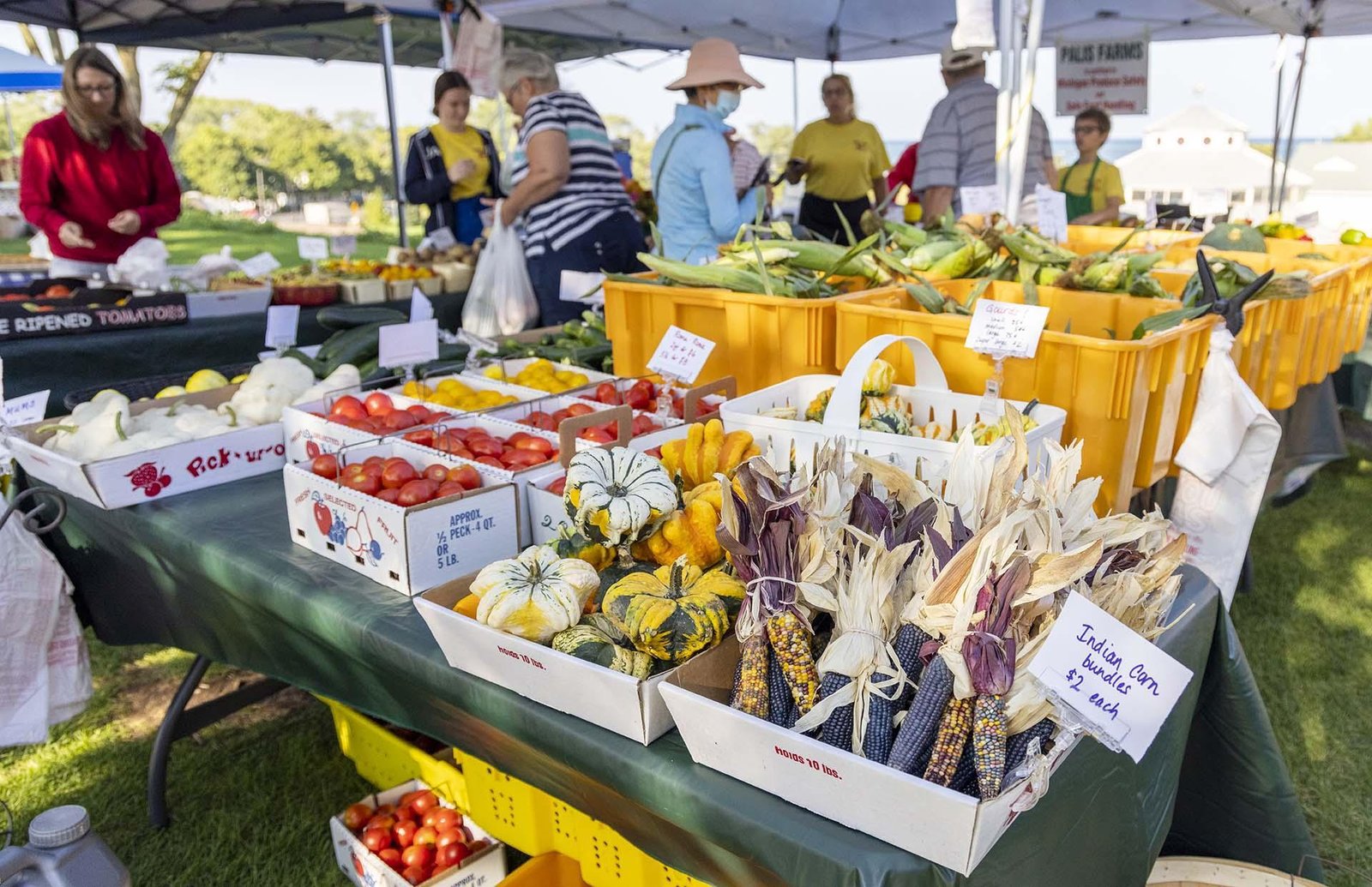 sw farmers market