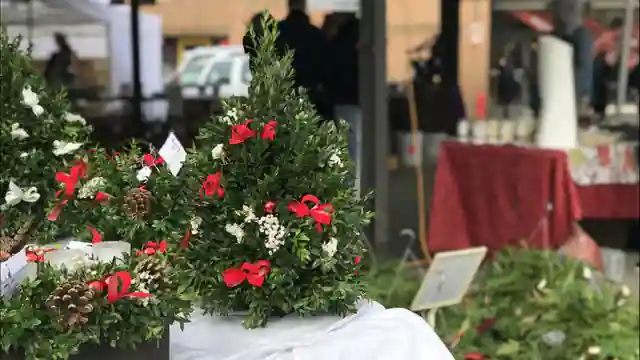 Ann Arbor Farmers Market Holiday Pop-Up