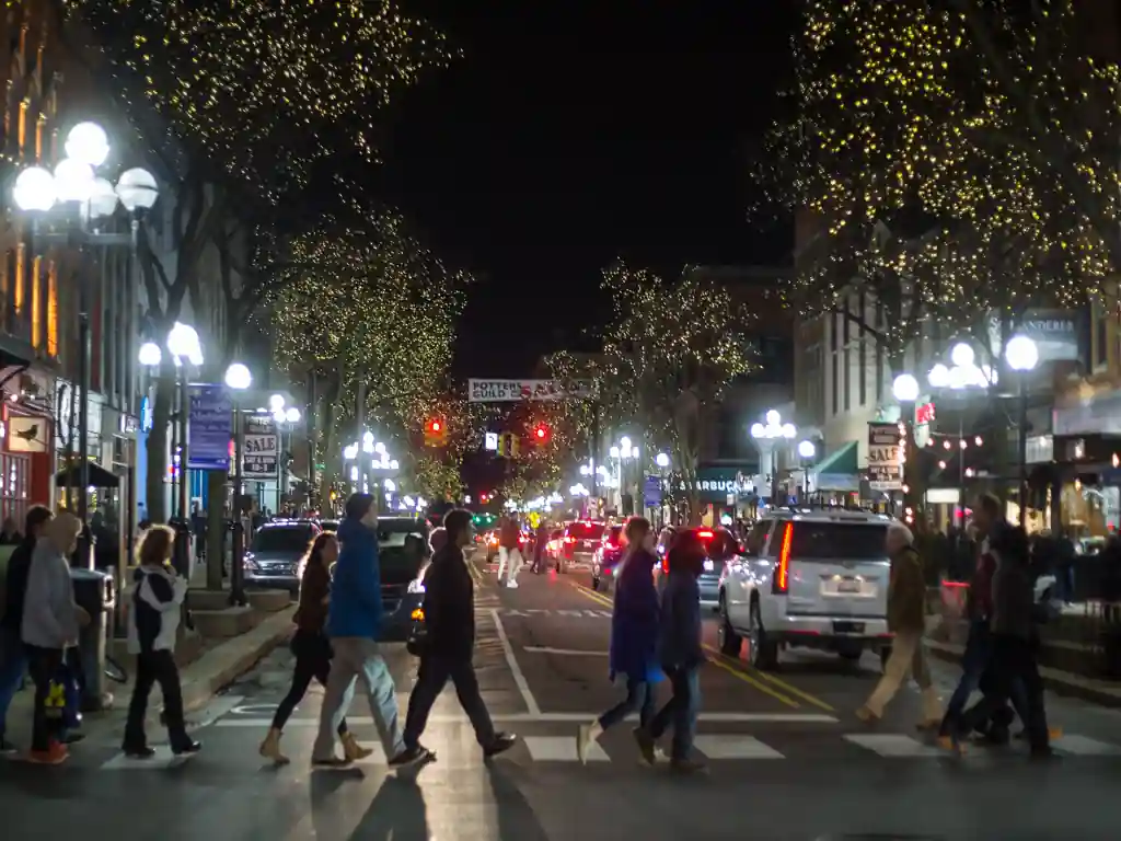 Downtown Ann Arbor Holiday Market