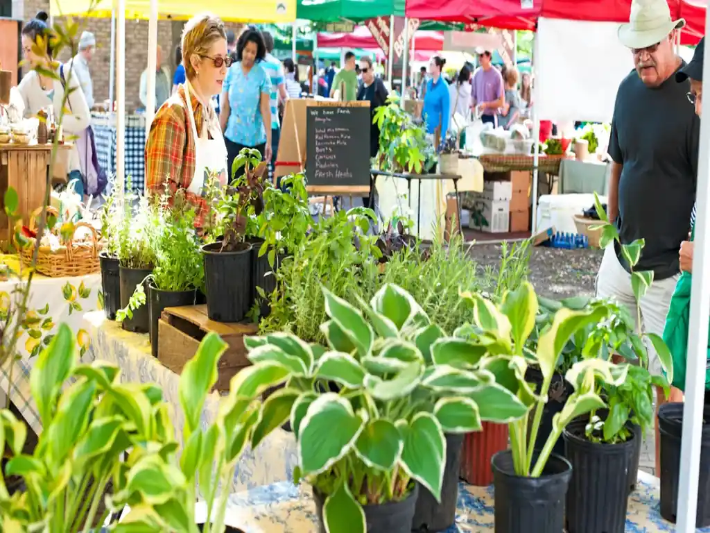 Farmers Markets in Charleston