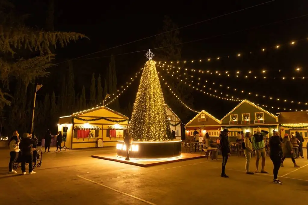 Ottawa Downtown Association Holiday Market