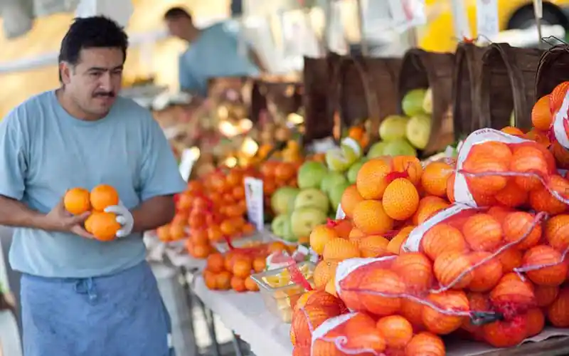 Hollywood Farmers Market