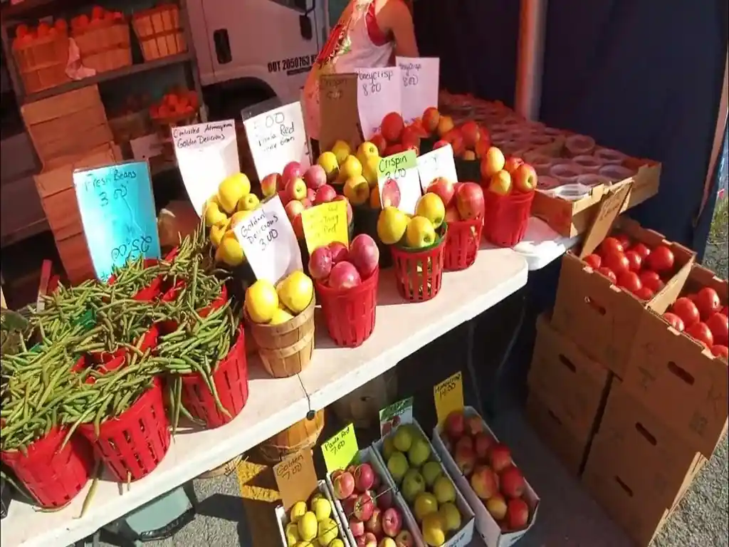 North Tonawanda Farmers Market