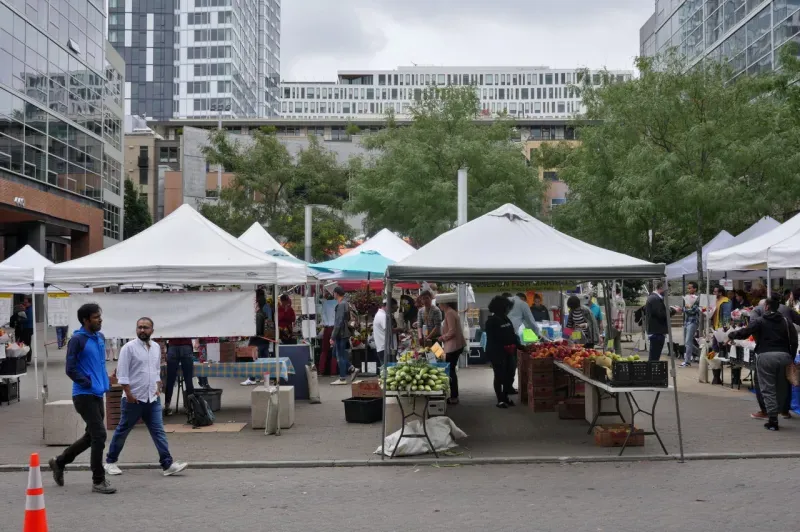 South Lake Union Winter Market