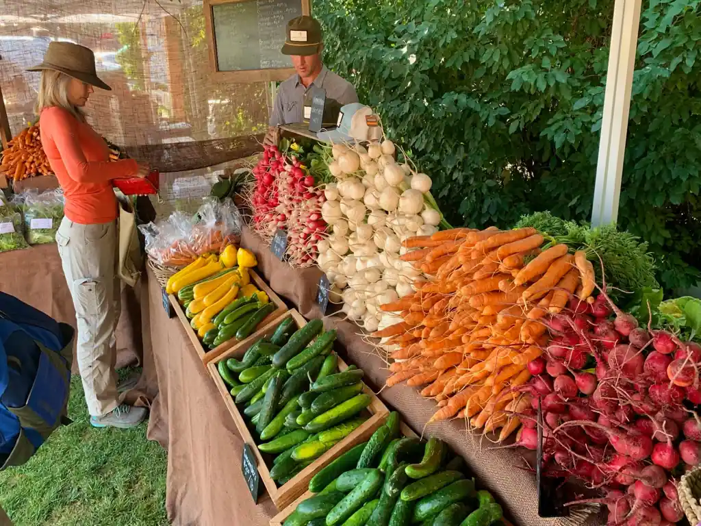 Teton Valley Farmers Market