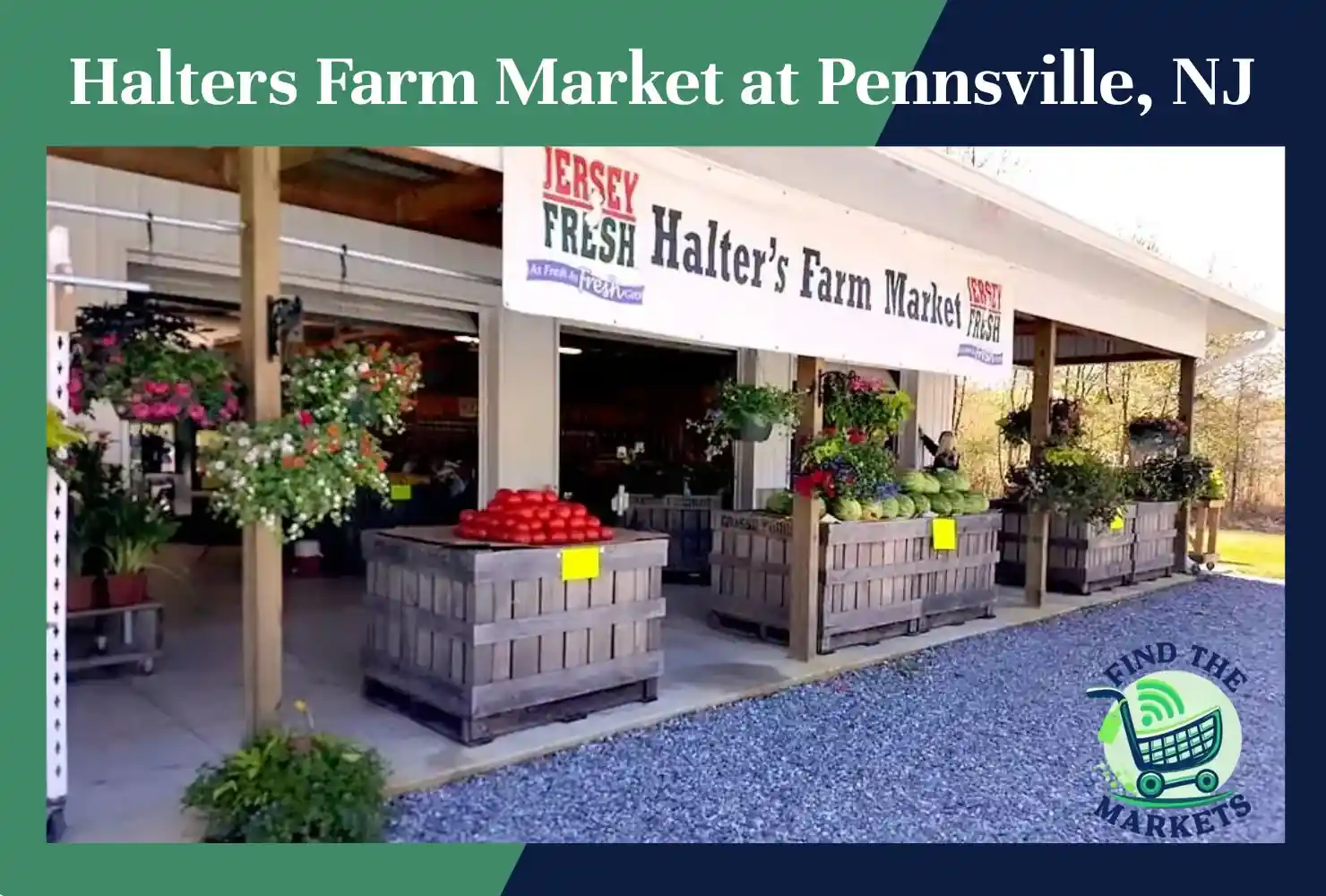 halters farm market at pennsville, nj