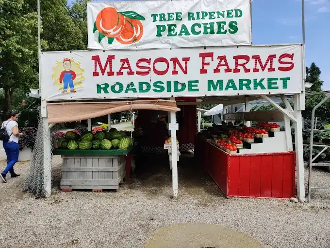 Mason farms roadside farm market