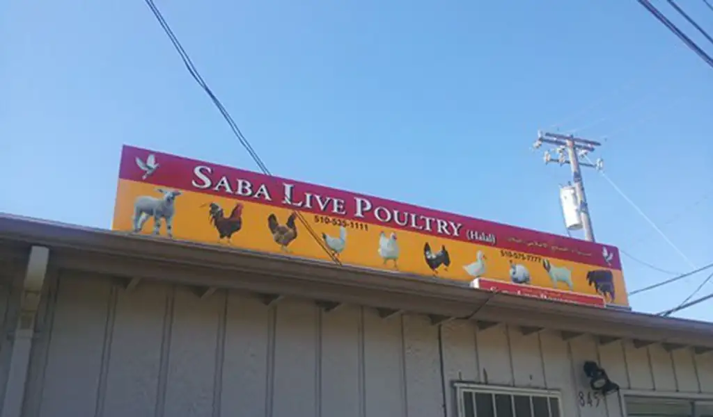 saba live poultry & meat market