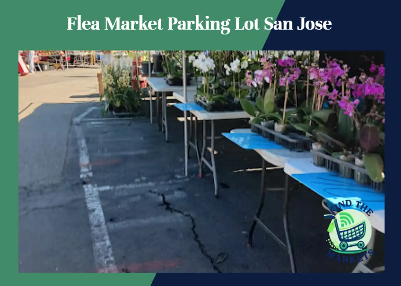 Flea Market Parking Lot San Jose