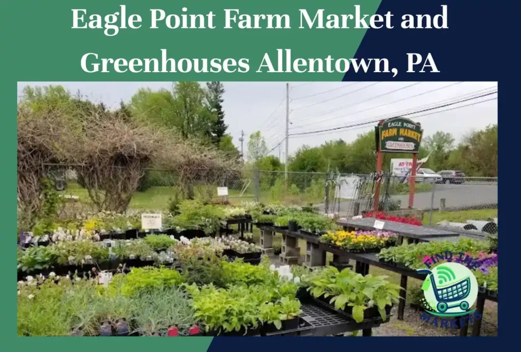 eagle point farm market and greenhouses allentown, pa