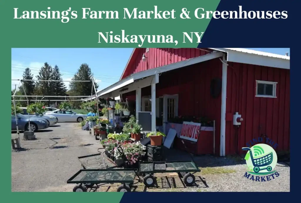 lansing's farm market & greenhouses niskayuna, ny