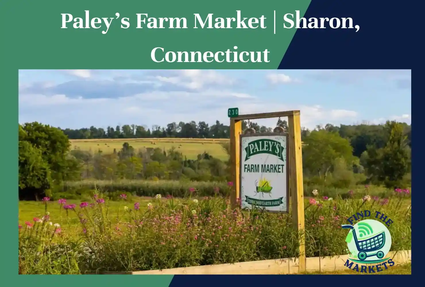 paley’s farm market sharon, connecticut