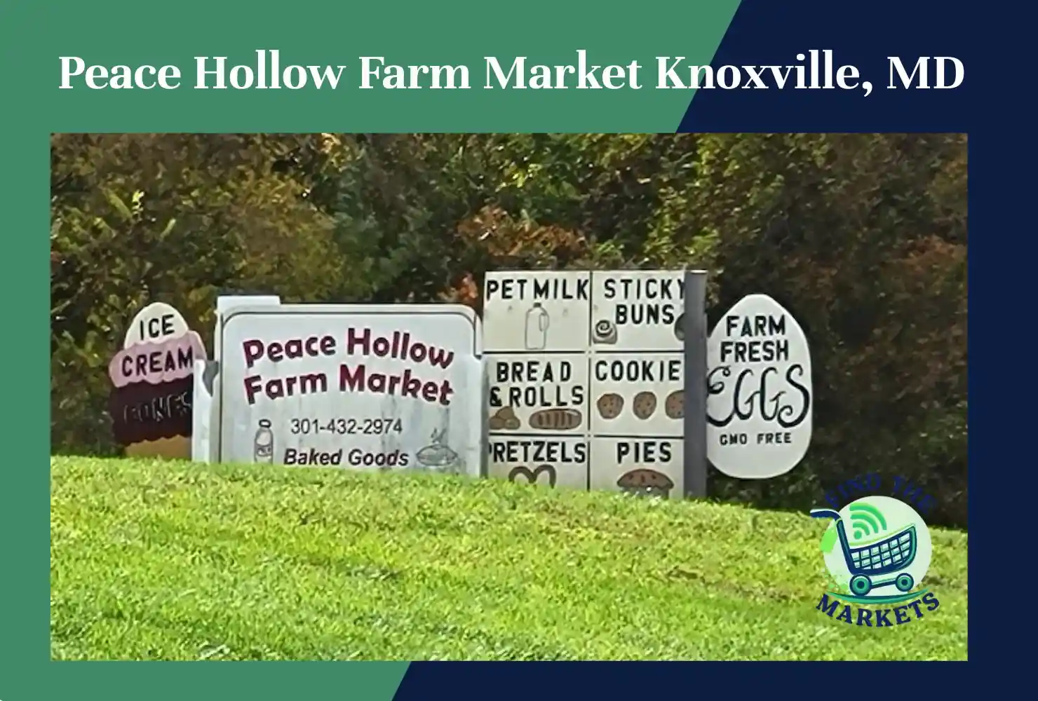 peace hollow farm market knoxville, md
