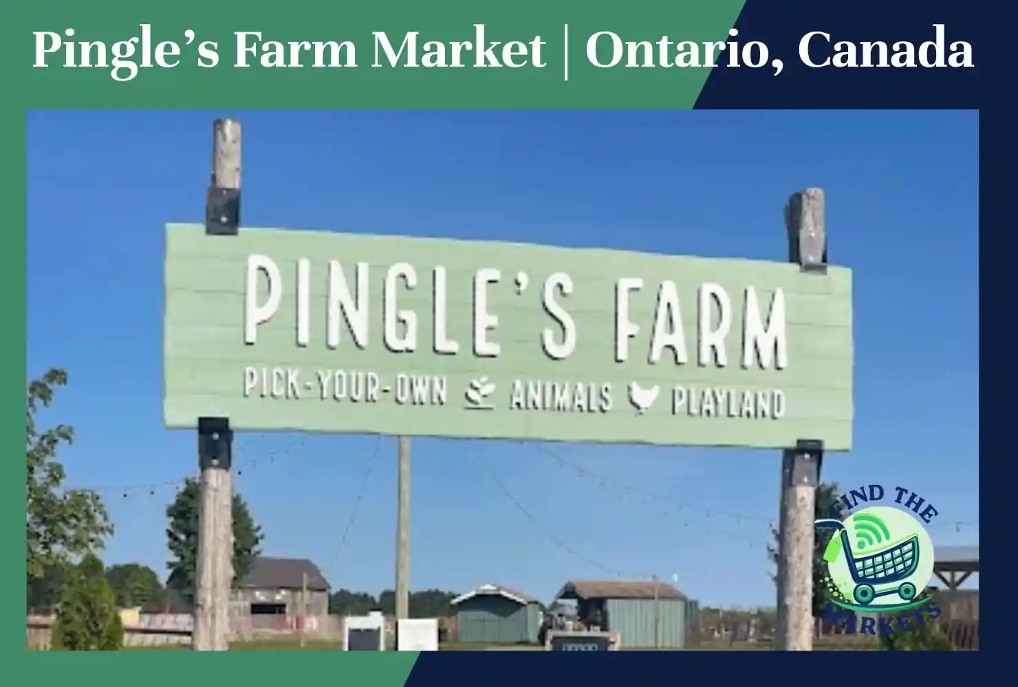pingle’s farm market ontario, canada