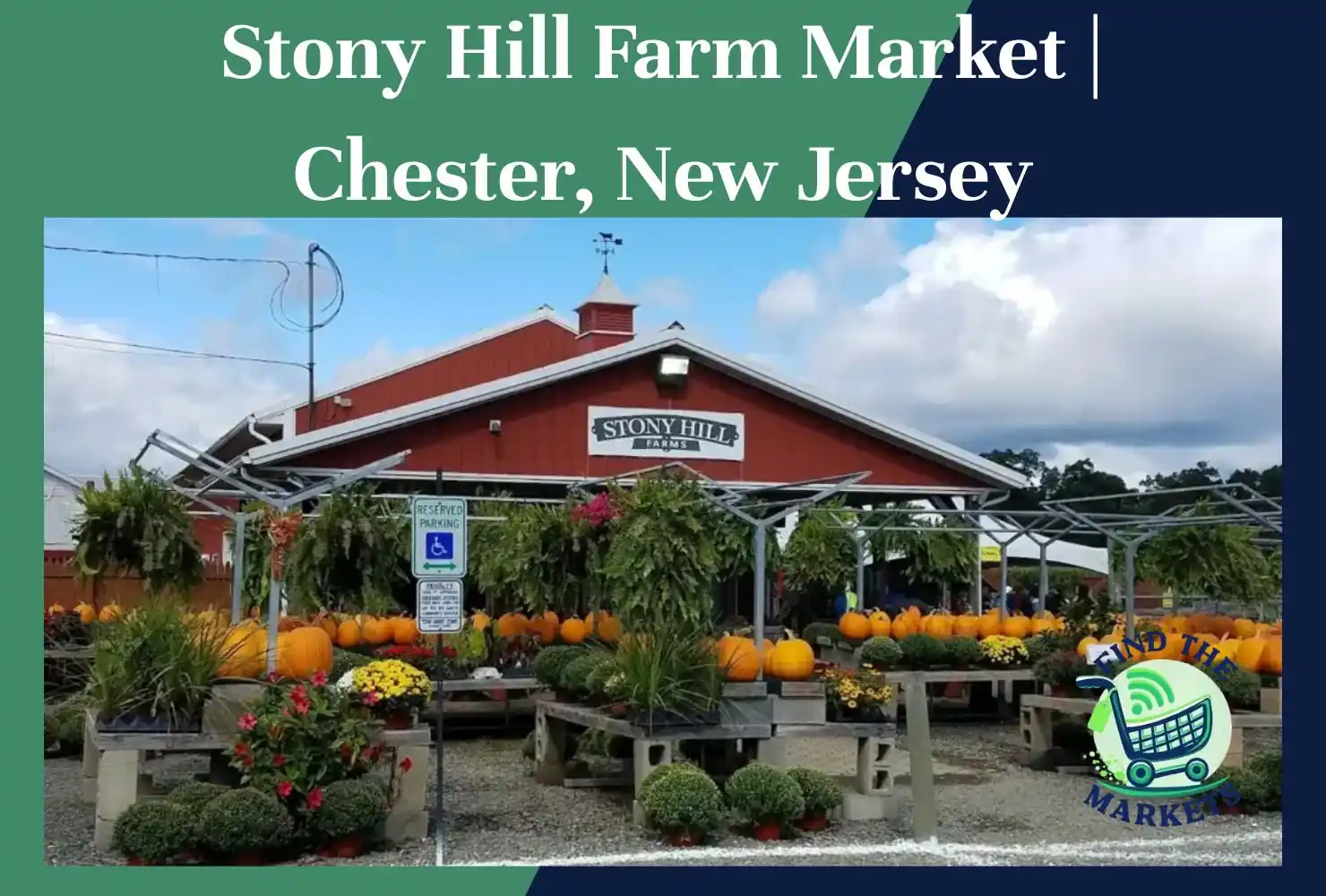stony hill farm market chester, new jersey