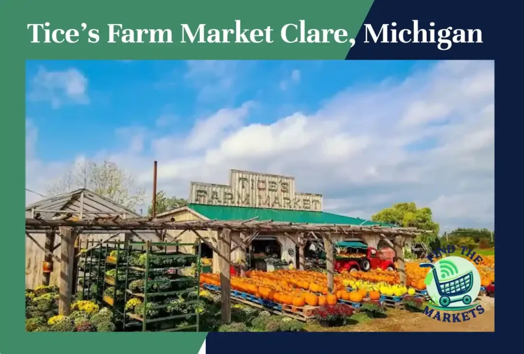 tice’s farm market clare, michigan