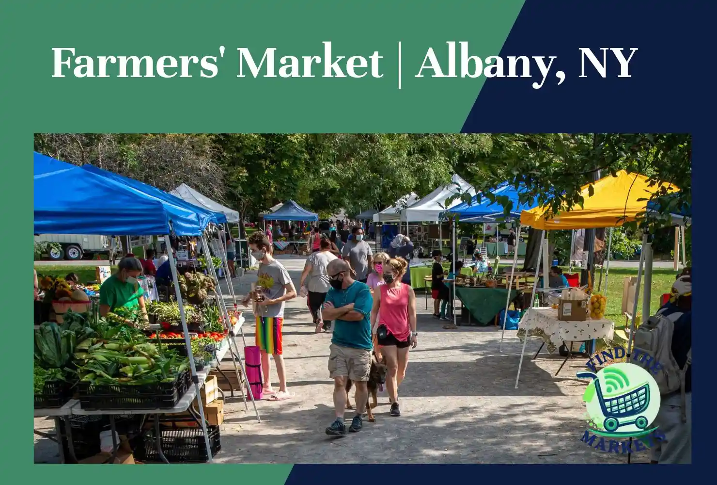 farmers' market albany, ny
