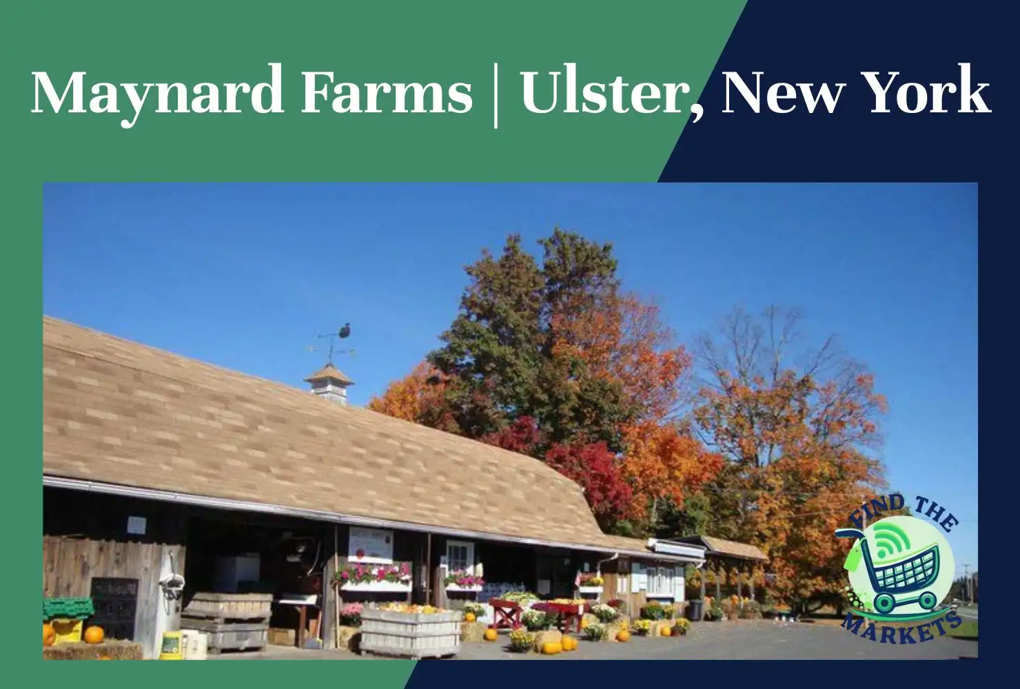 maynard farms ulster, new york