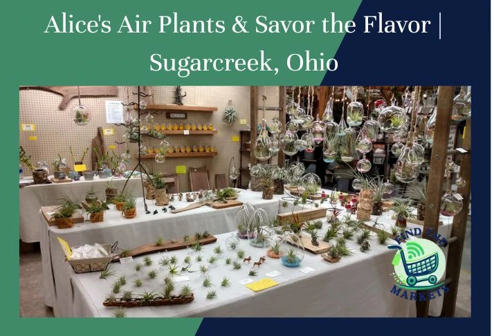 alice's air plants & savor the flavor, sugarcreek, ohio