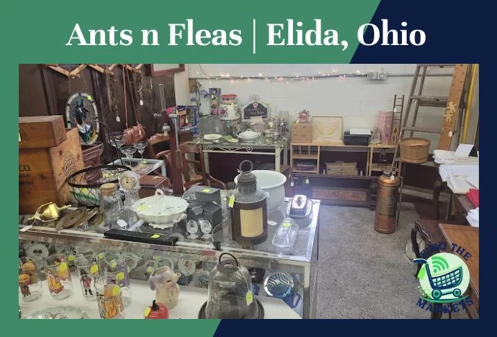 Ants n Fleas Elida, Ohio