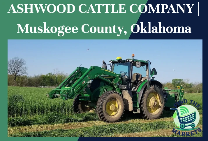 Ashwood cattle company
