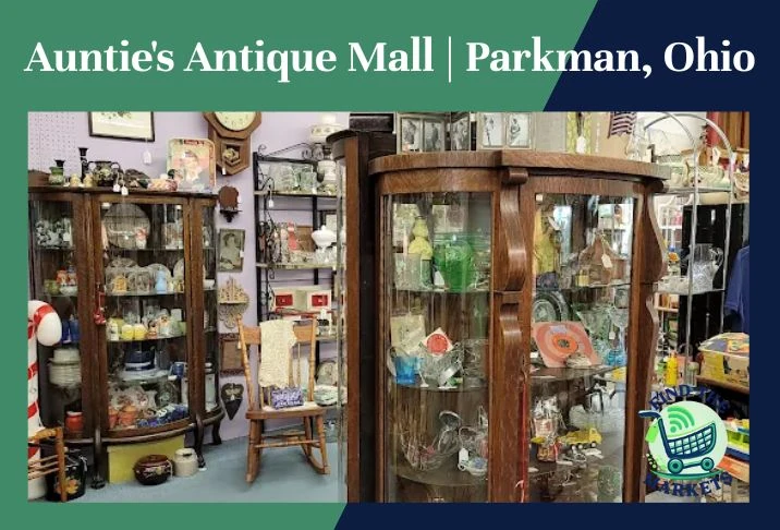 Auntie's Antique Mall Parkman, Ohio