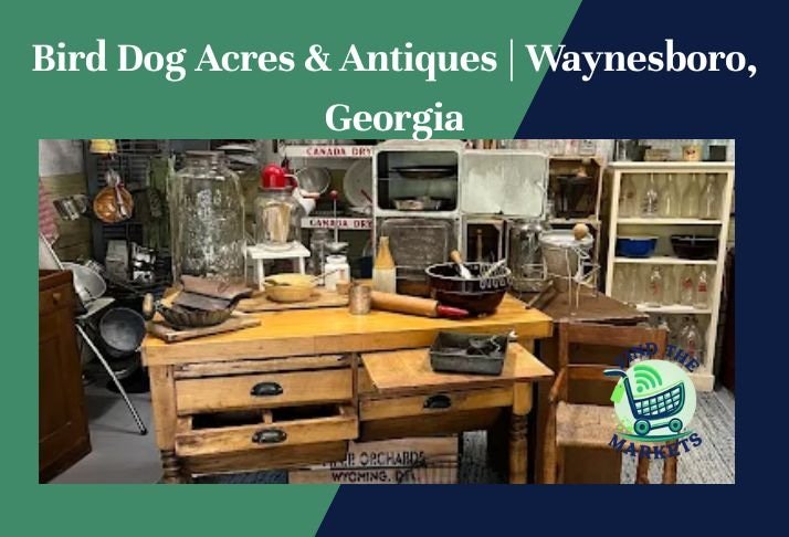 bird dog acres & antiques , waynesboro, georgia