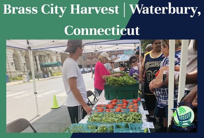 Brass City Harvest Waterbury, Connecticut