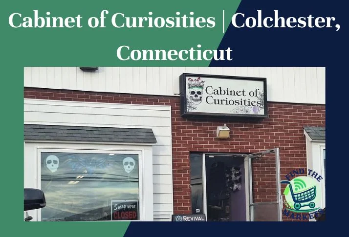 Cabinet of Curiosities Colchester, Connecticut