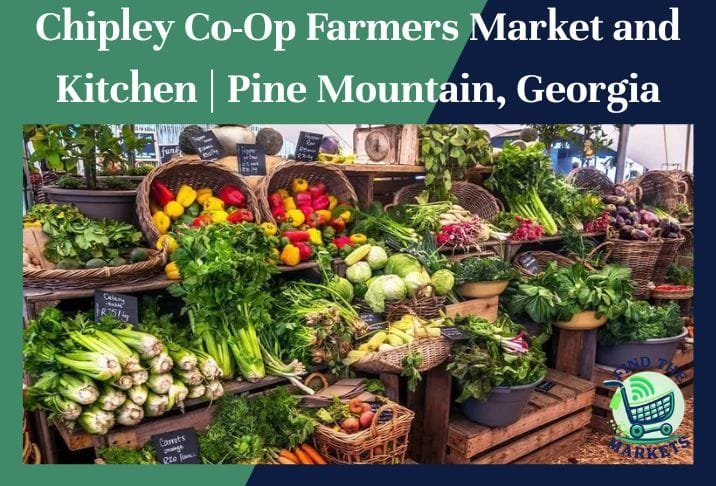 Chipley Co-Op Farmers Market and Kitchen Pine Mountain, Georgia