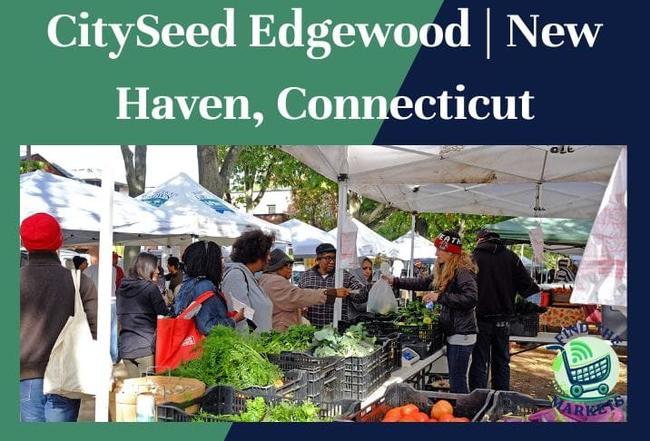 CitySeed Edgewood New Haven, Connecticut