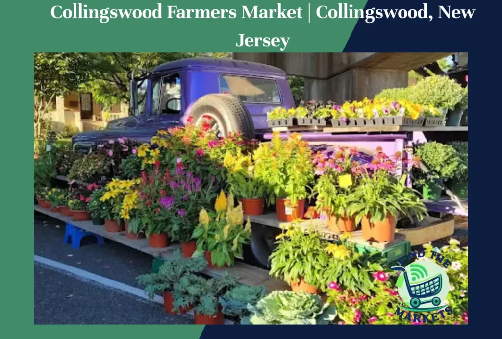 Collingswood Farmers Market