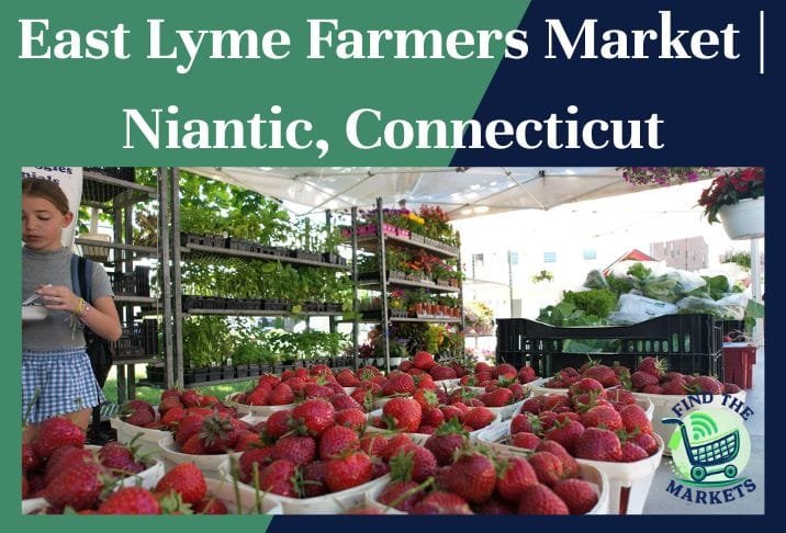 East Lyme Farmers Market Niantic, Connecticut