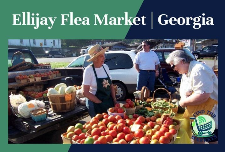 Ellijay Flea Market Georgia
