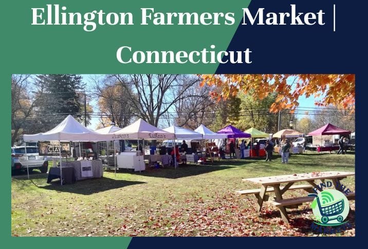 Ellington Farmers Market Connecticut