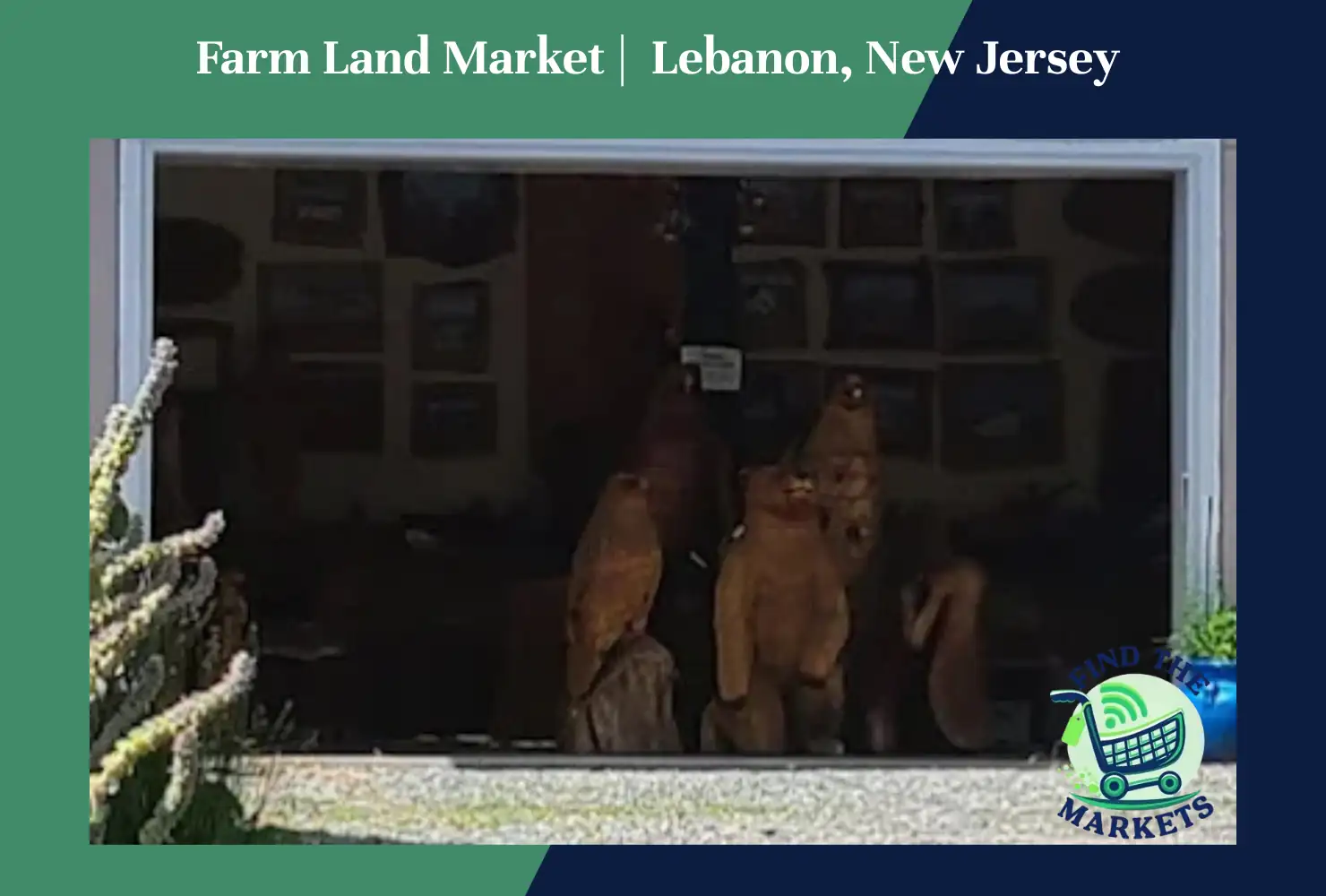 Farm Land Market