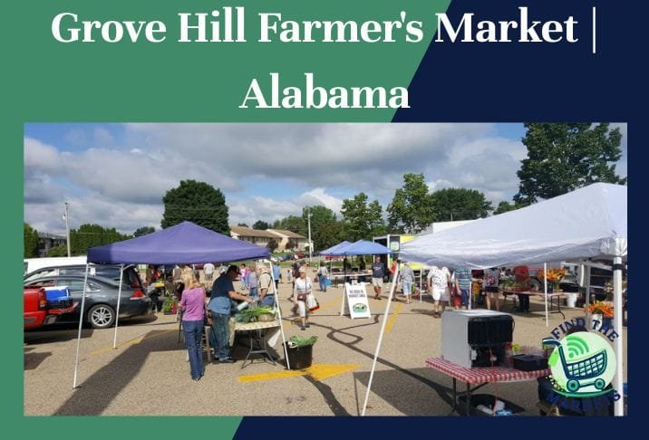 Grove Hill Farmer's Market Alabama