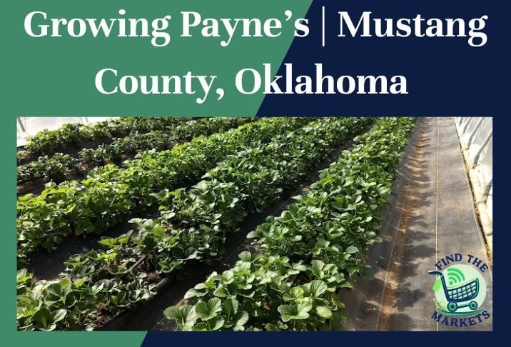 Growing Payne’s Mustang County, Oklahoma