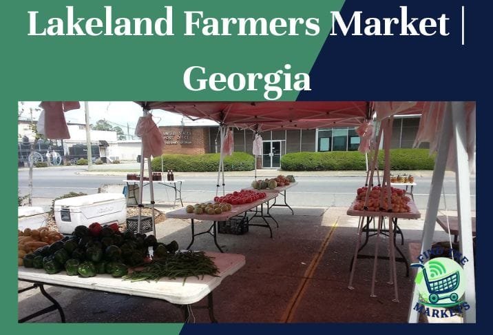 Lakeland farmers market georgia