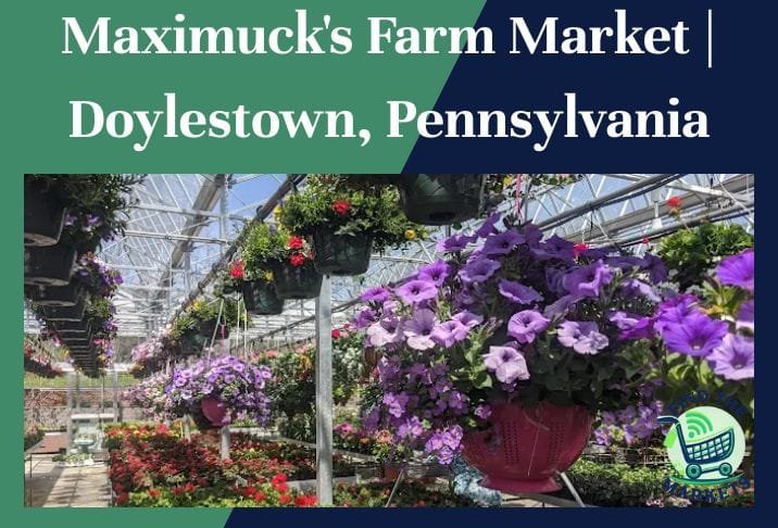 Maximuck's Farm Market Doylestown, Pennsylvania