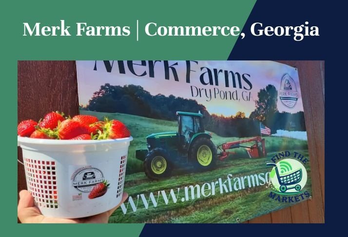 merk farms , commerce, georgia
