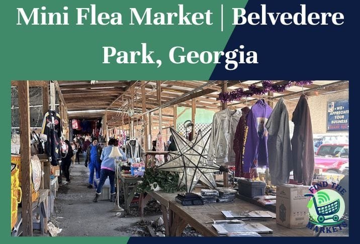 Mini Flea Market Belvedere Park, Georgia
