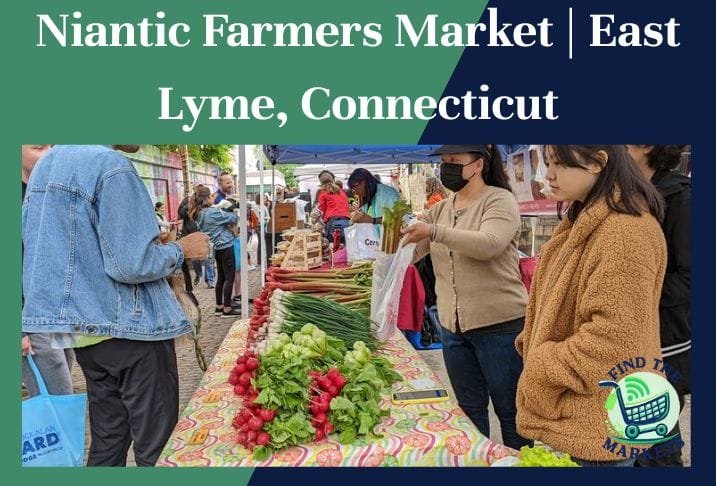 Niantic farmers market east lyme, Connecticut