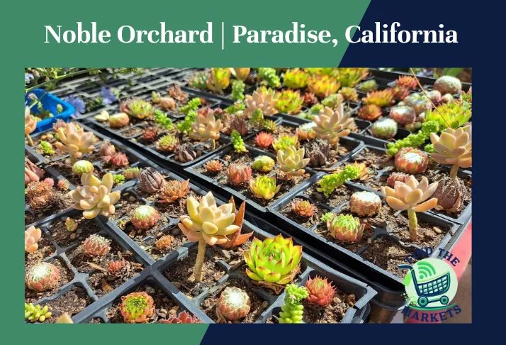 noble orchard, paradise, california