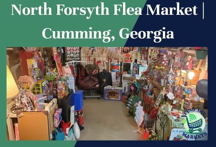 north forsyth flea market cumming, georgia