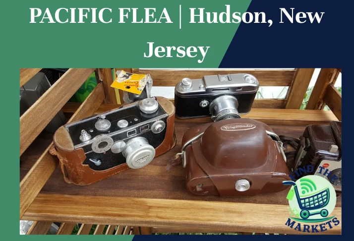 pacific flea
