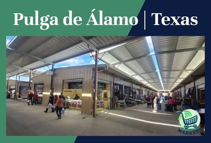 Pulga de Álamo Texas