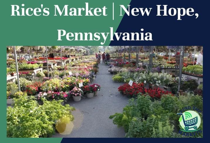 Rice's Market New Hope, Pennsylvania