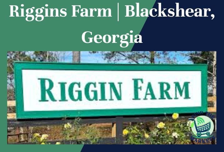 Riggins Farm Blackshear, Georgia