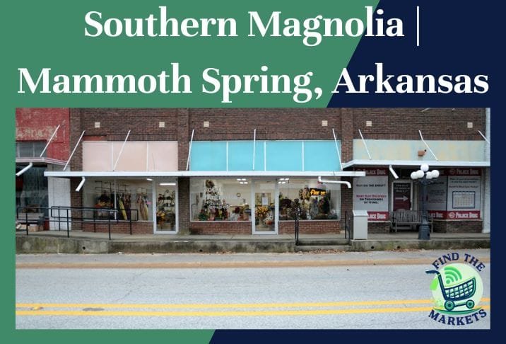 Southern Magnolia Mammoth Spring, Arkansas
